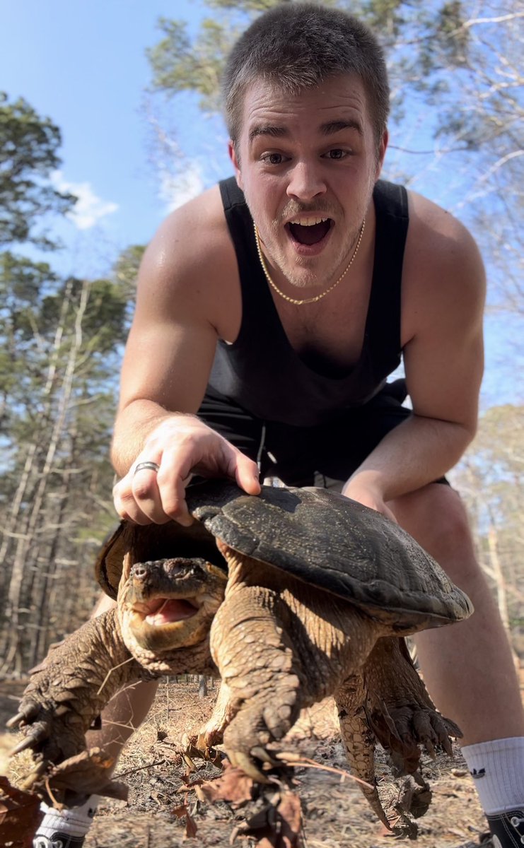 GCustomsCreations #HaloFest tweet media