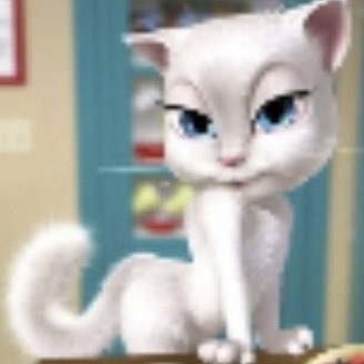 kaokao ⚢ tweet media