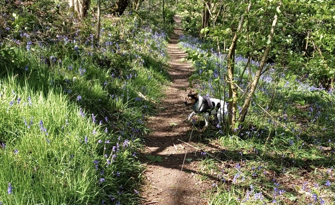 Gem_Star7 tweet media