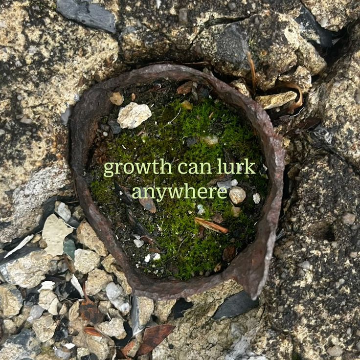 𝕰𝖑𝖊𝖒𝖒𝖎𝖗𝖊 tweet media