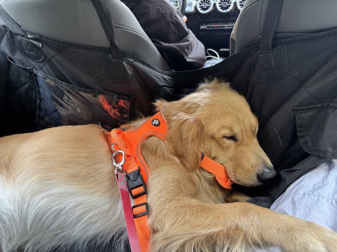 Banane Gun 🍌🔫 tweet media