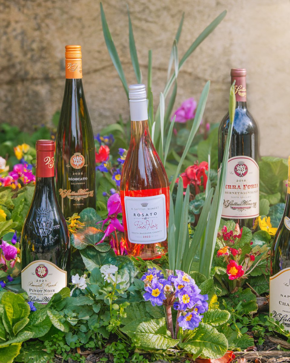 V. Sattui Winery tweet media