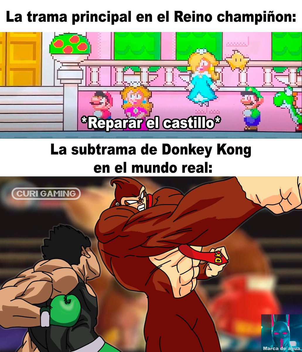 Condor Causa tweet media