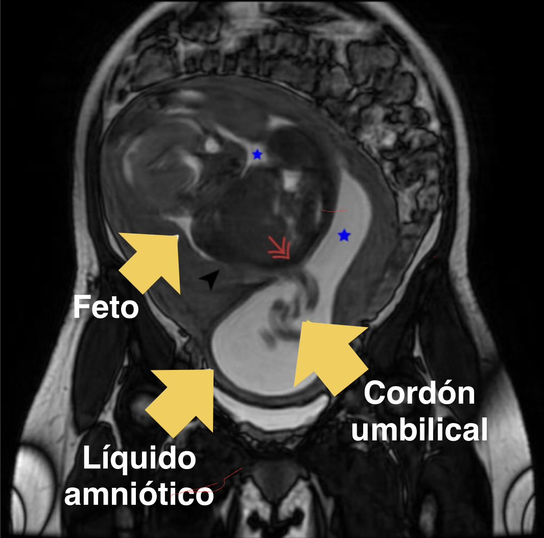 Carlos De Bonrostro 🏥 tweet media