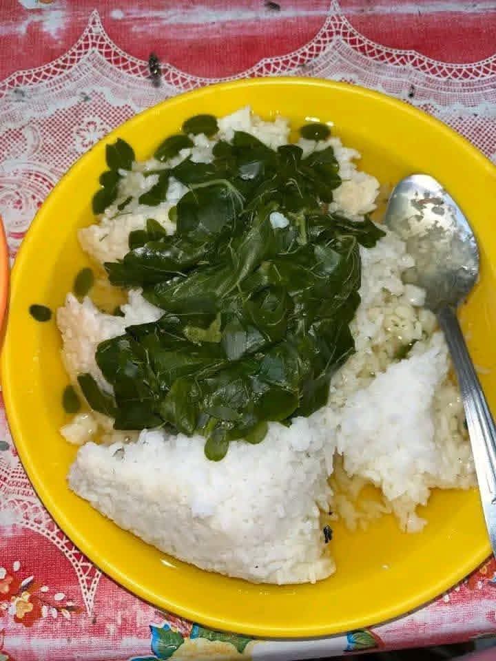 S t e w a r d tweet media