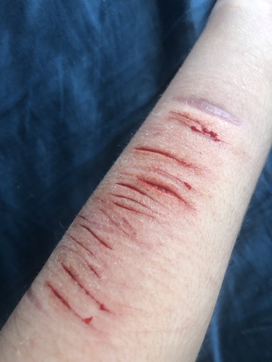 Ulrich of shtwt 𐂯 tweet media