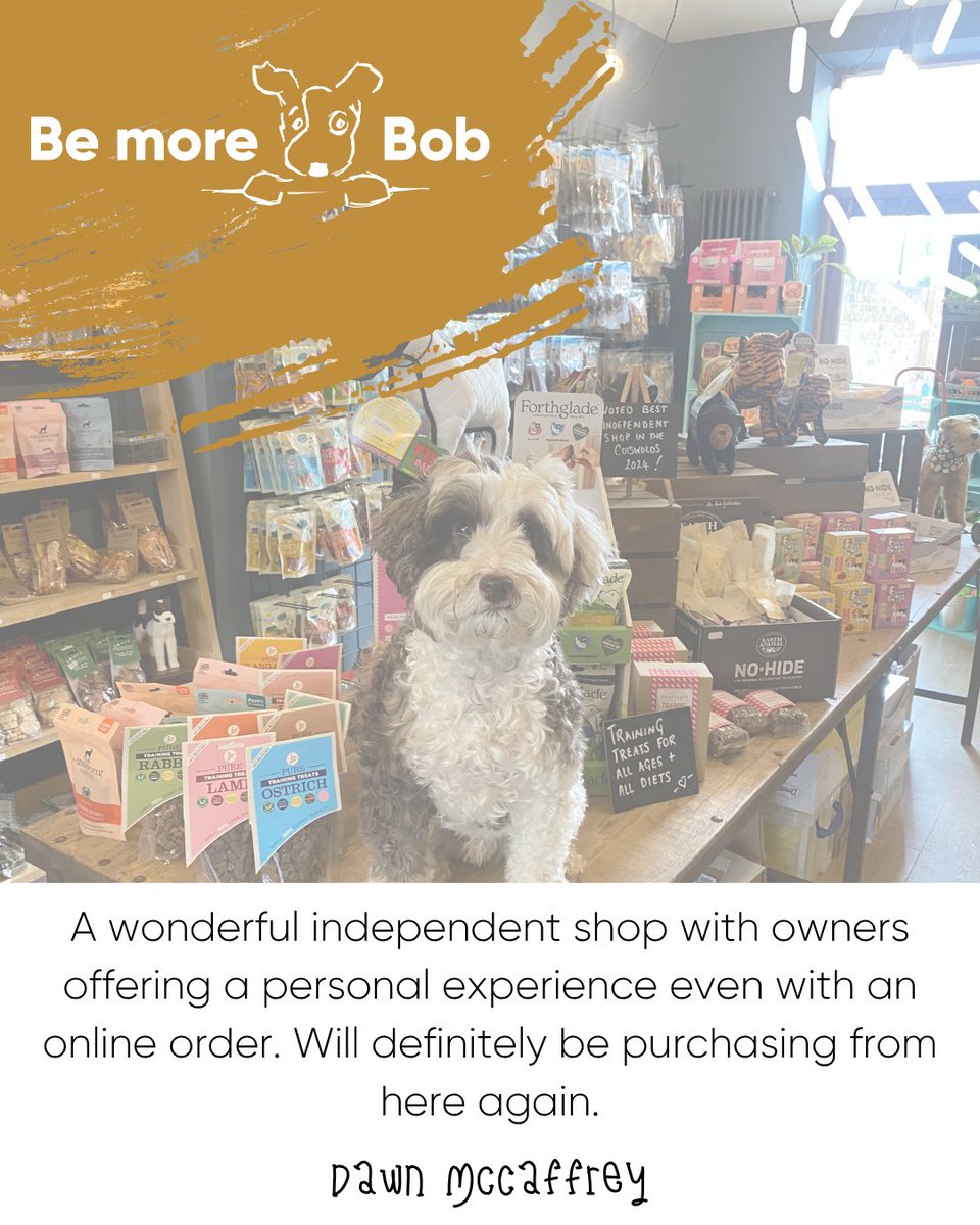 BeMoreBob tweet media