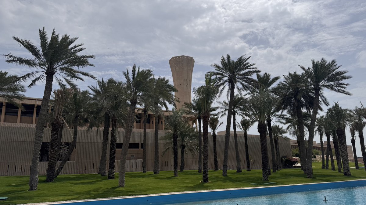 رواء tweet media
