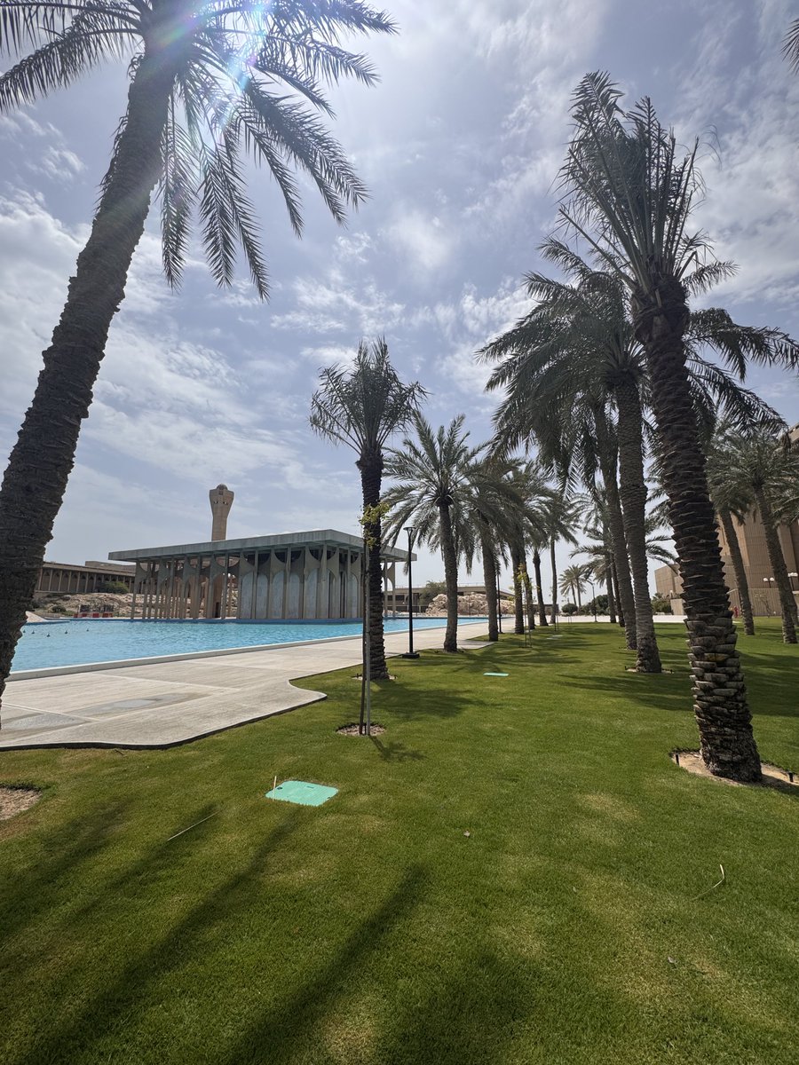 رواء tweet media