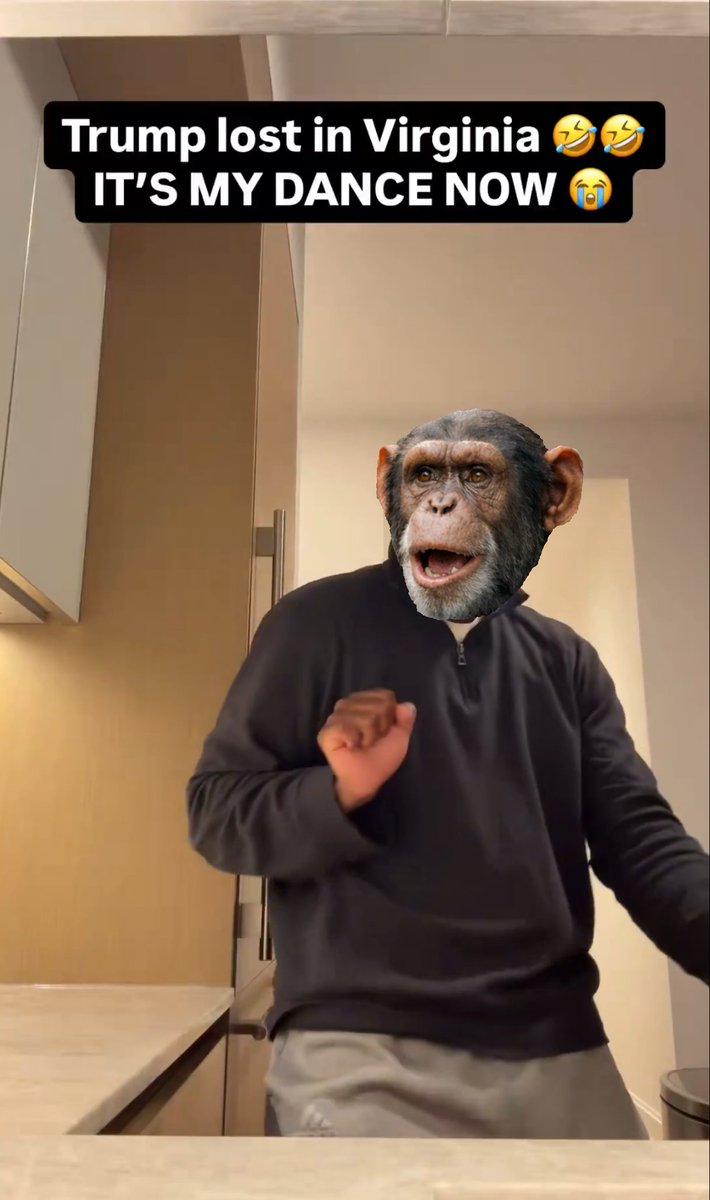 TreeShadow22 tweet media