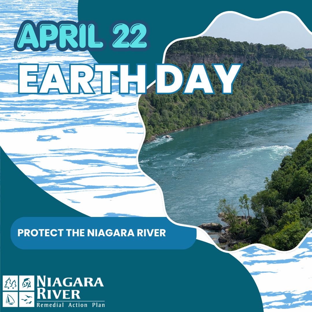 Niagara River RAP (Canada) tweet media