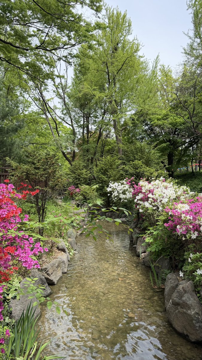 are_aq92's tweet photo. مساحة نفس 🌱💆🏻‍♀️ https://t.co/7Pal7HqVz0