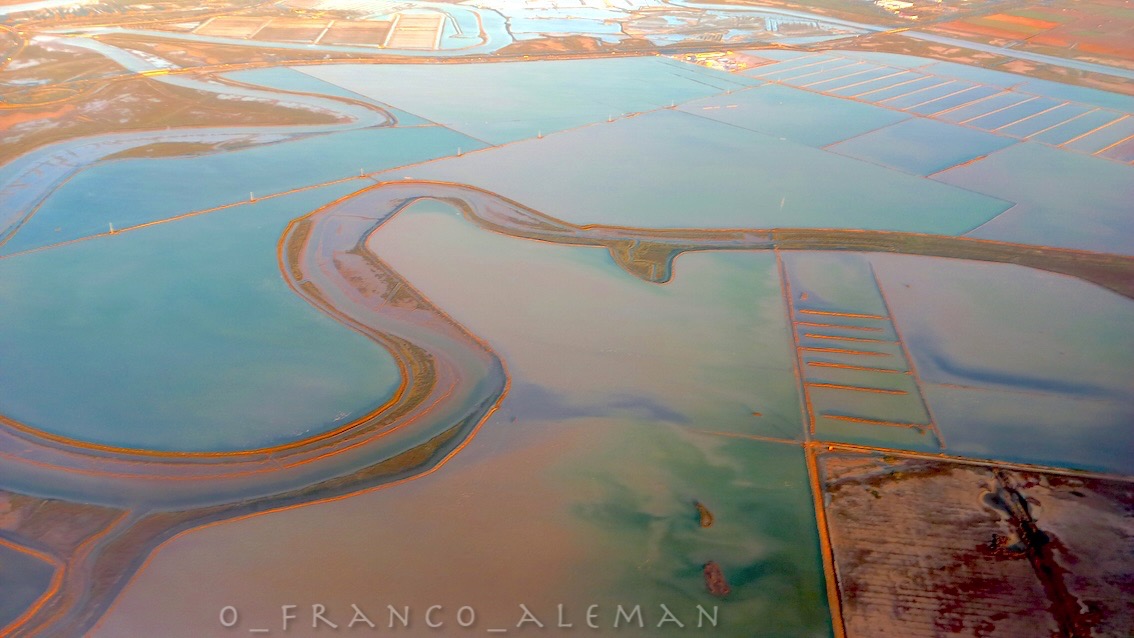 Franck Marc ✌ tweet media