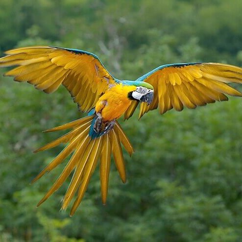 Natural World Fund tweet media