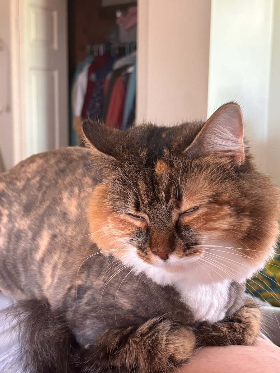 gooberito tweet media