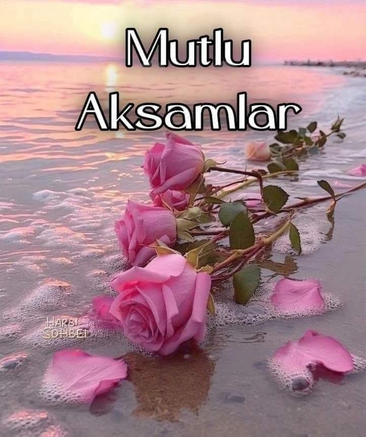 J2Uinn's tweet photo. @Tamfi11 https://t.co/JN1XtV7qdT
