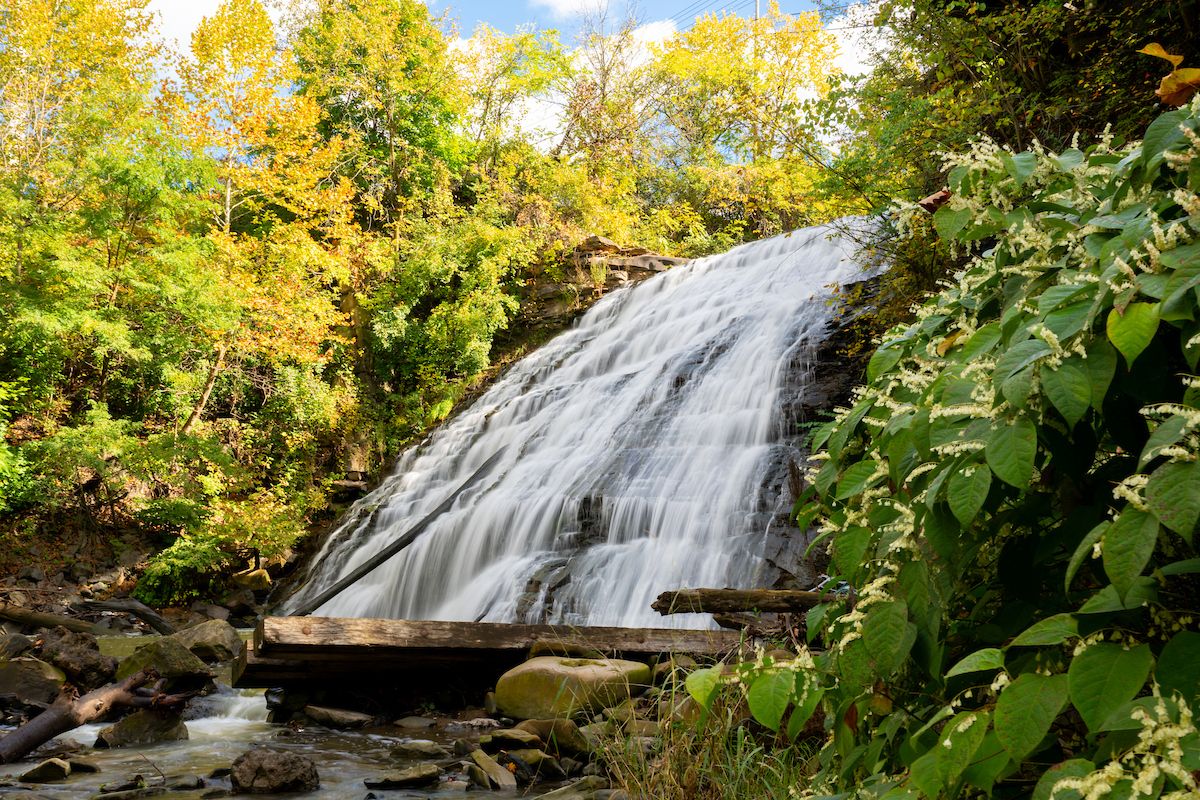 Cleveland Metroparks tweet media