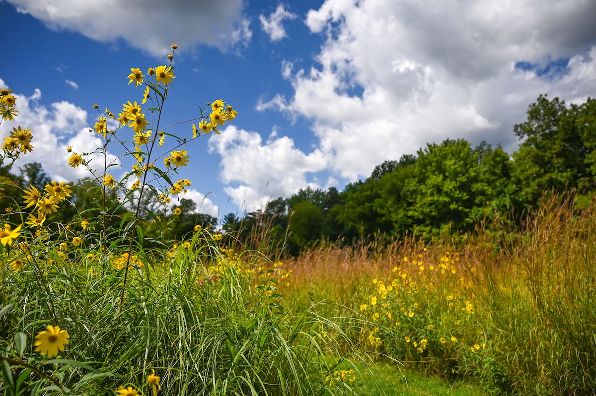 Cleveland Metroparks tweet media