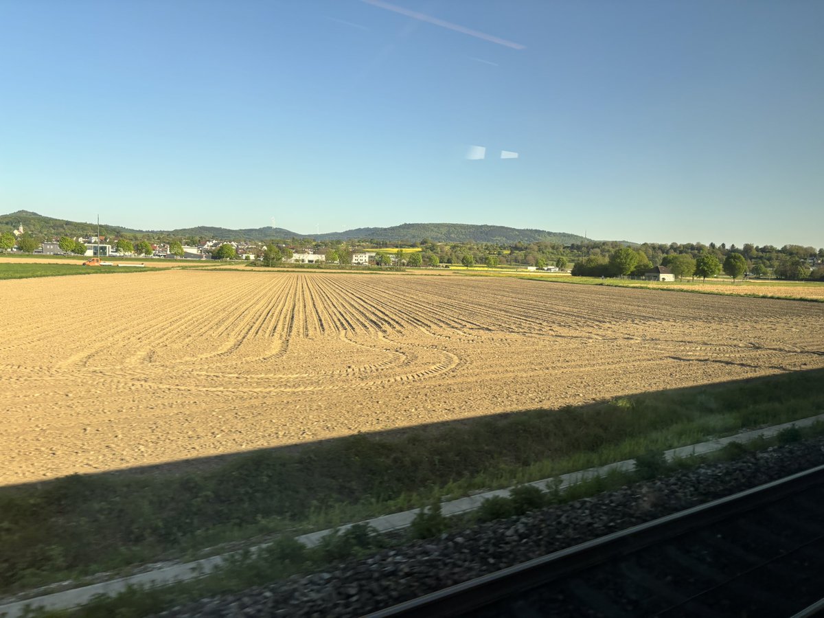 うるち tweet media