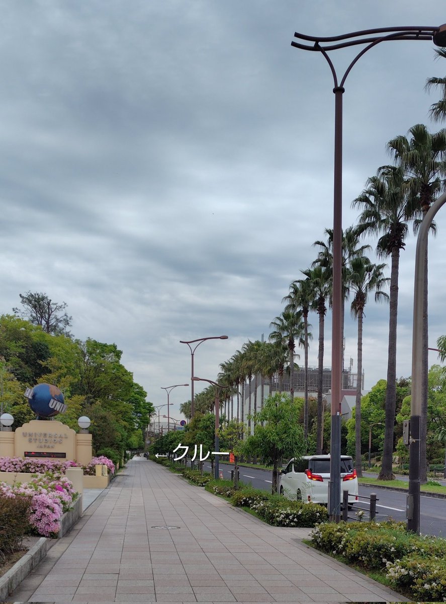 わぴこ😺 tweet media