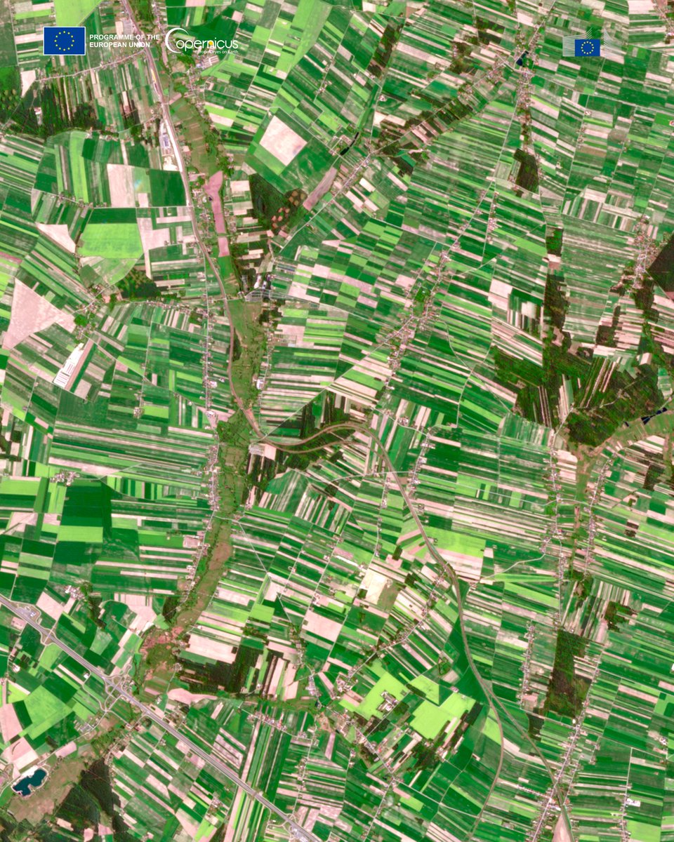 EU Agriculture🌱 tweet media