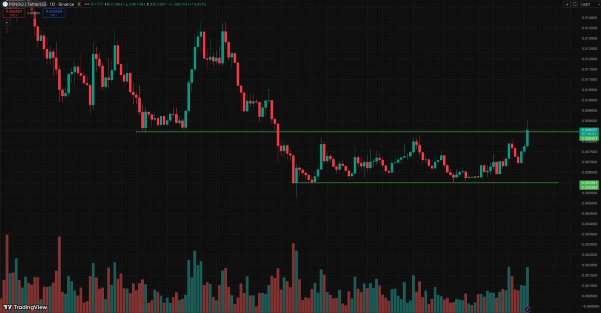 Letsdewitt's tweet photo. Looks like $PENGU wants more... https://t.co/NPaKWivsT4