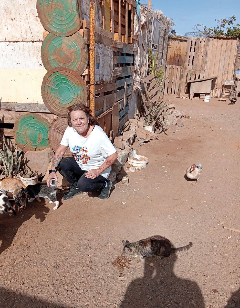 Amigues patud da Mia em Cabo Verde tweet media