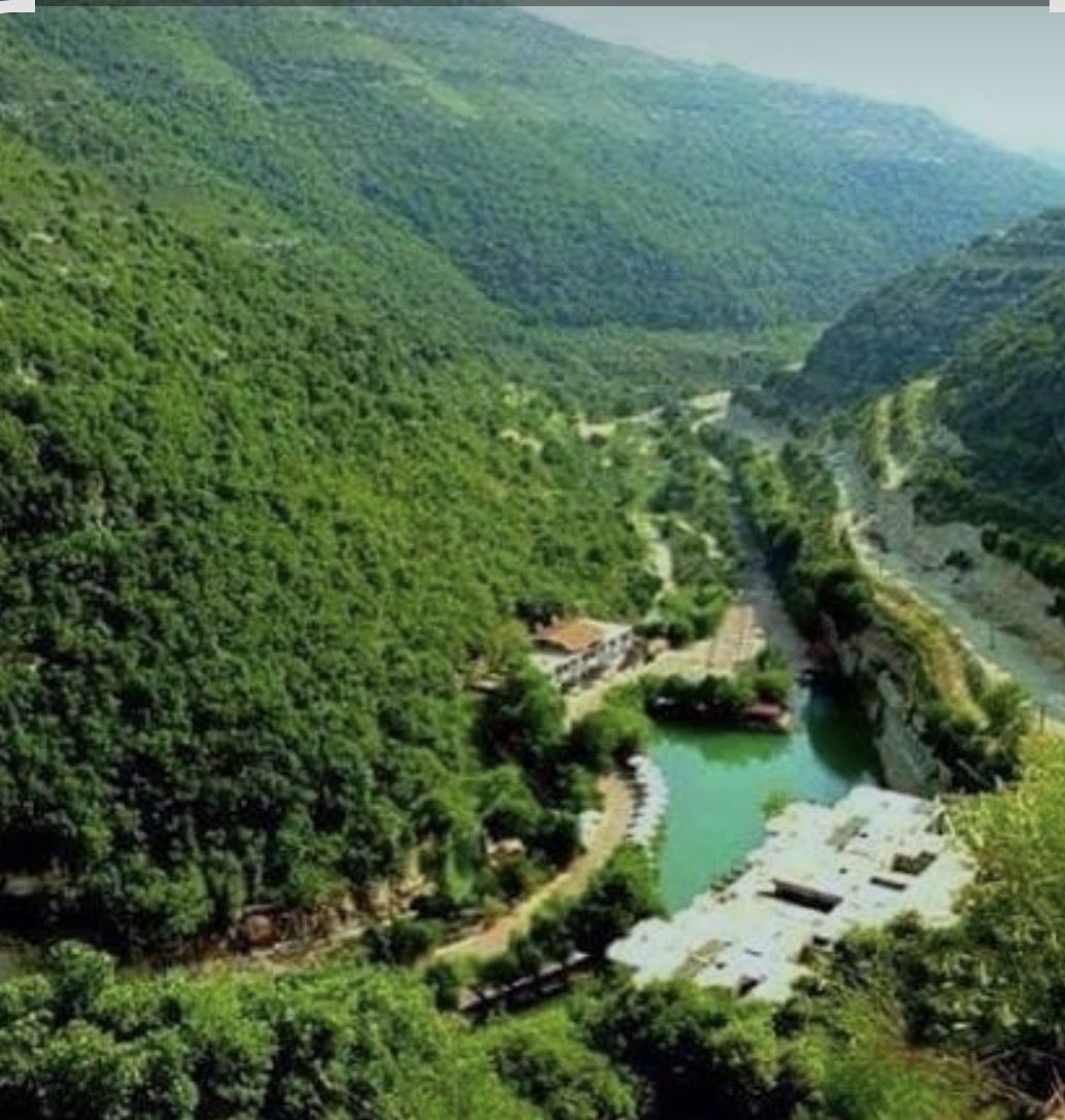 𝐁𝐨-𝐌𝐞𝐬𝐡𝐚𝐥🇶🇦 tweet media