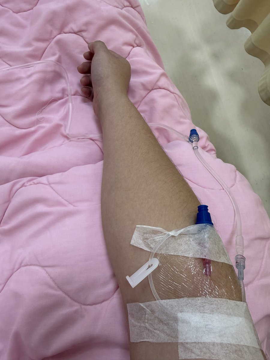 晴海harumi 個人勢 Vtuber tweet media