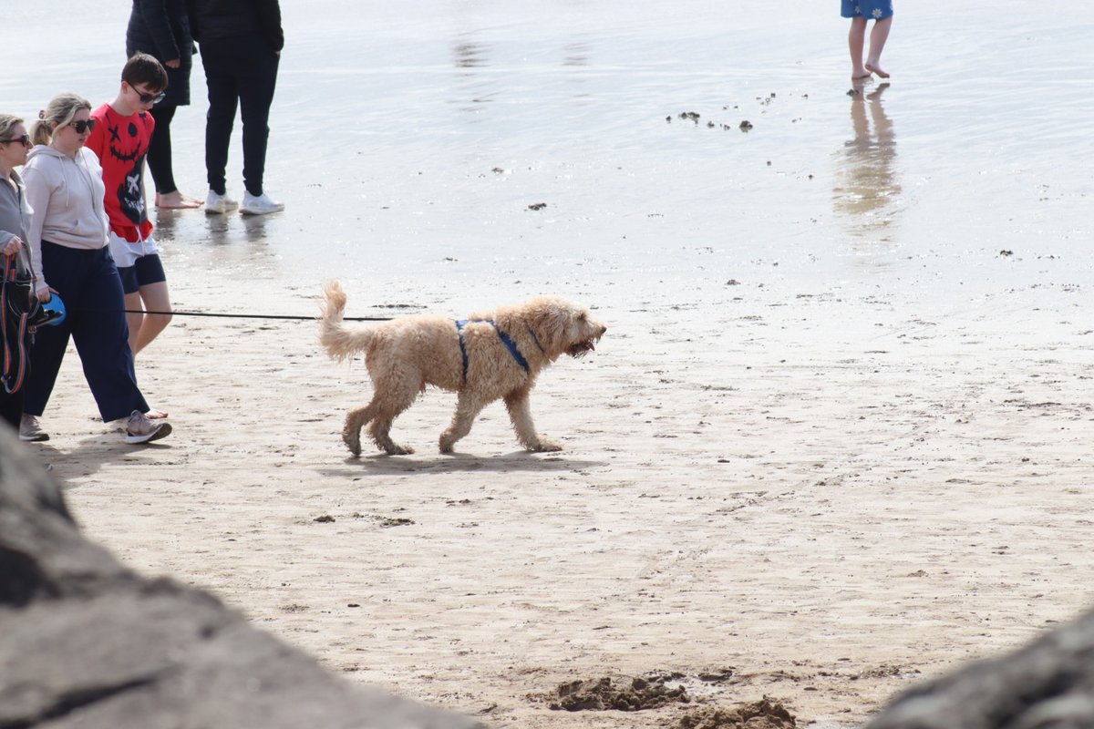 BDuffma's tweet image. #Clare #Burren #ThePhotoHour 🟡🔵🖤🤍💚💛⚪️⚫️ #200daysofwalking dragging the dog by the... kinda day!