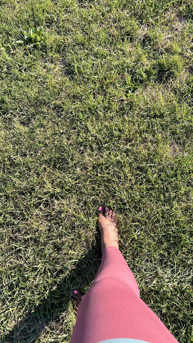 Modest_Violet's tweet photo. Happy Earth Day 🌱 https://t.co/PAL7LbNjqk