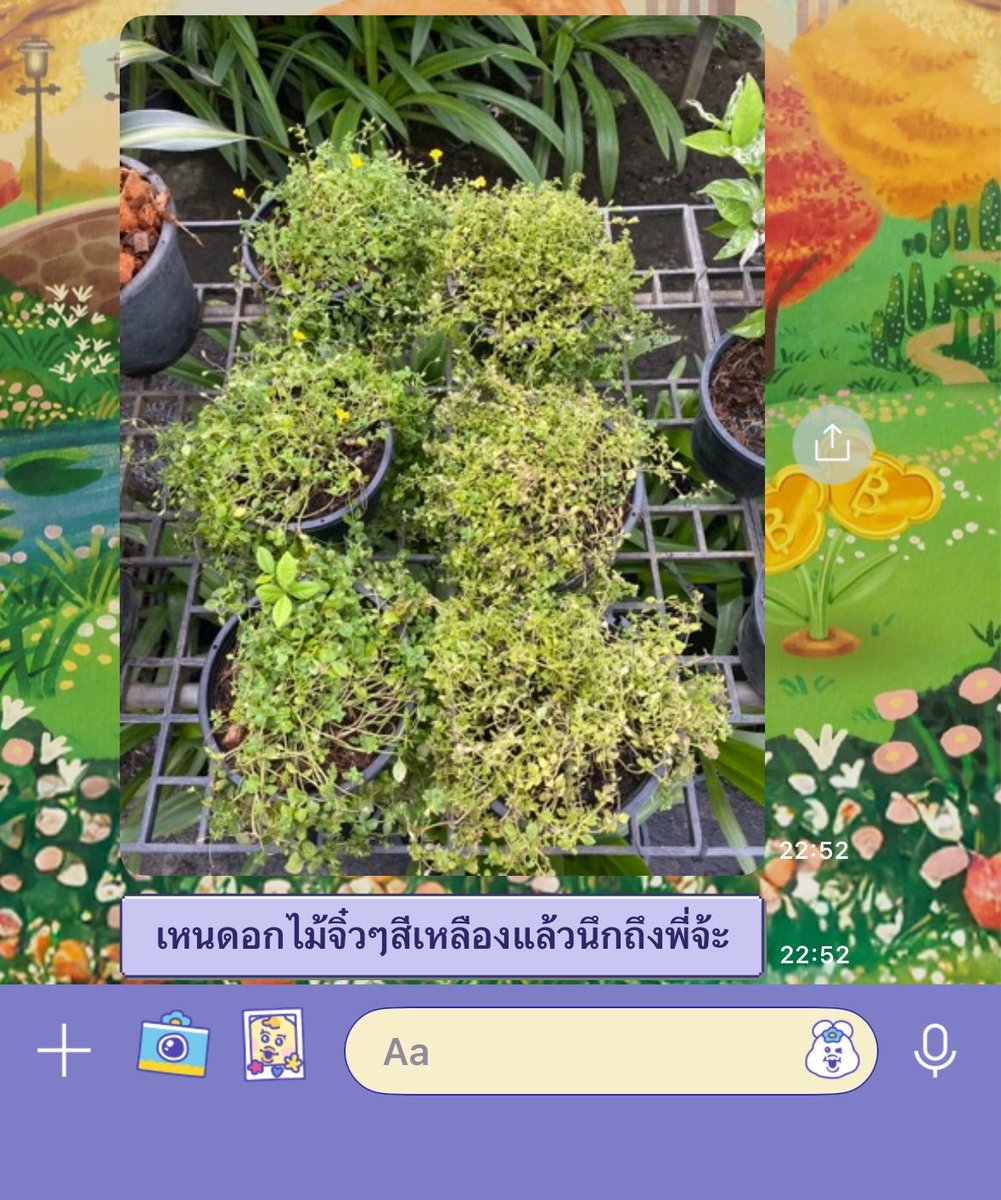เป็นอะไรที่น่ารักเสมอมา