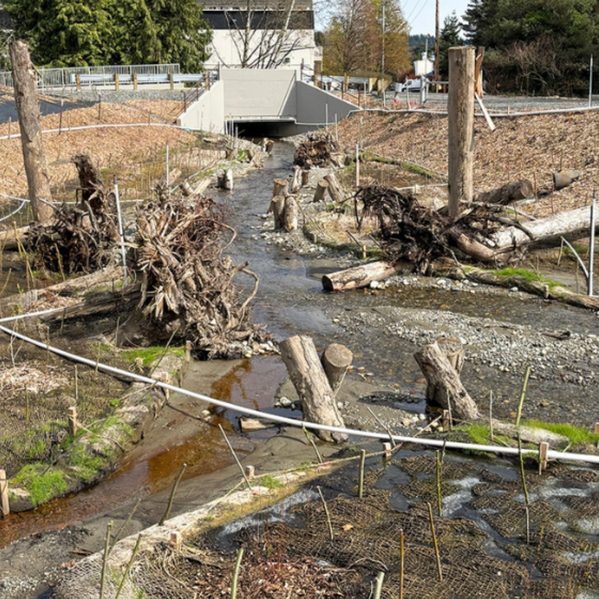 Puget Sound Energy tweet media
