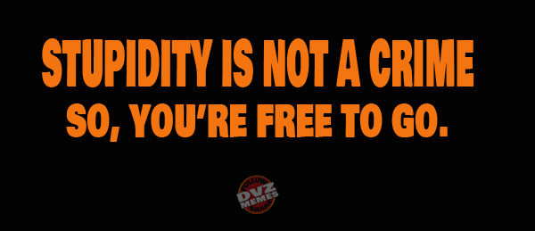 DVZ MΞMΞS tweet media