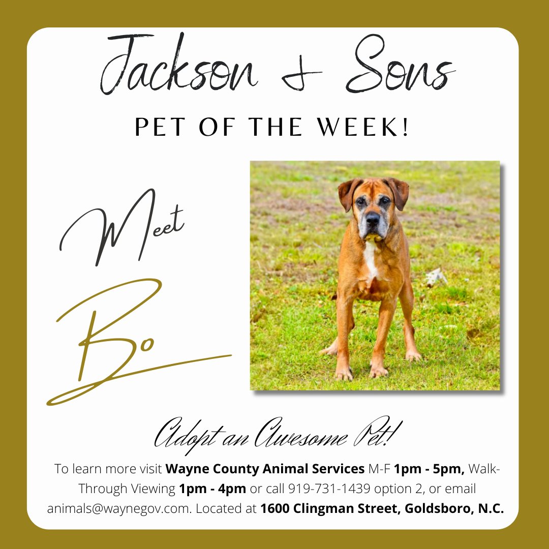 Jackson & Sons tweet media