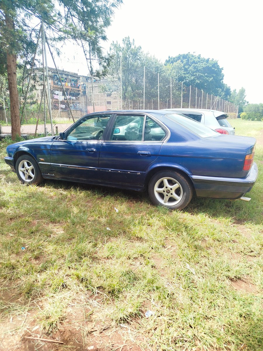 kleins Jr tweet media