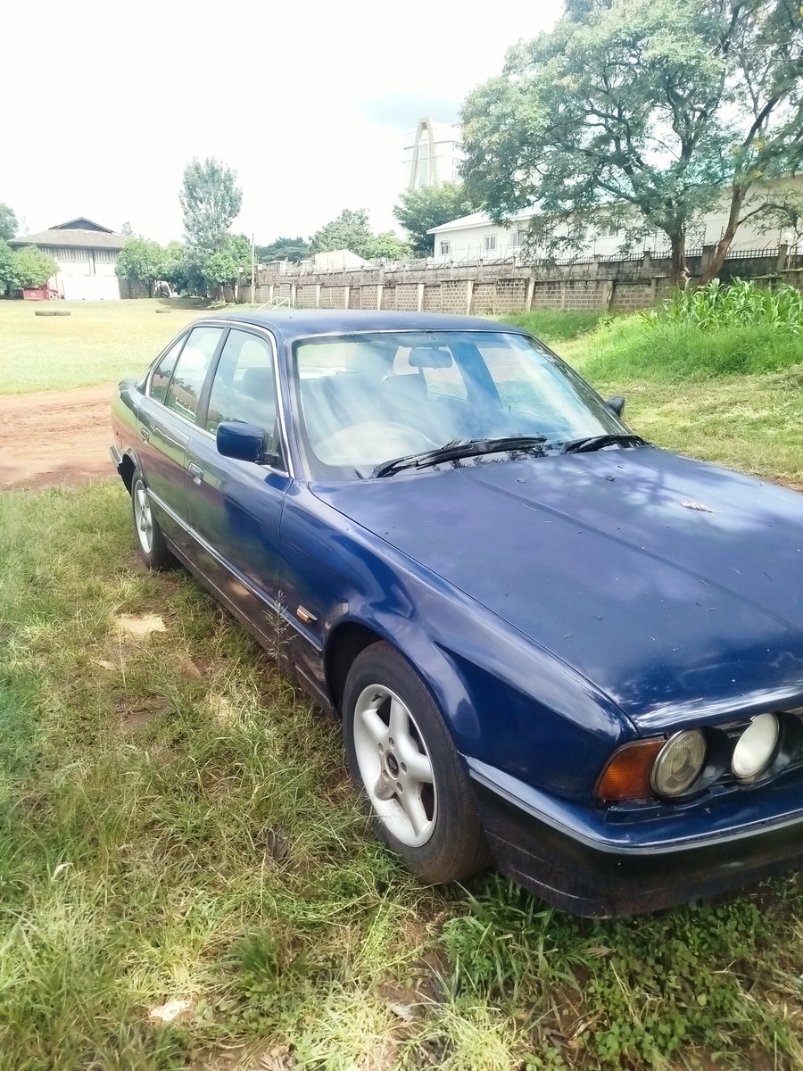 kleins Jr tweet media