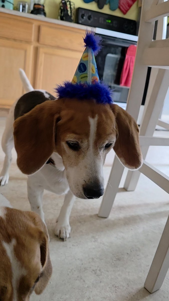 Sir Razer McDougal tweet media