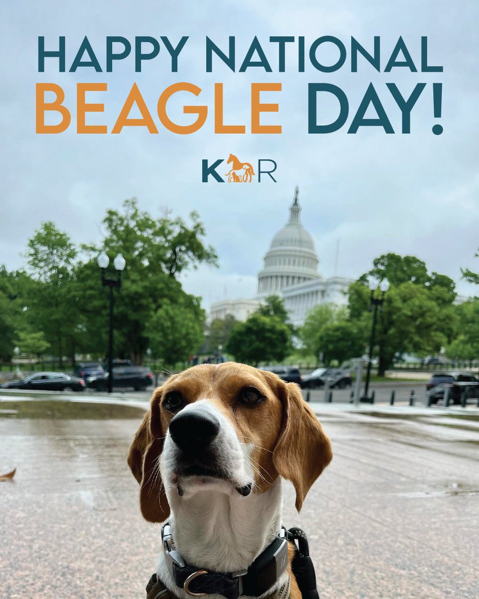 Kindness Ranch tweet media