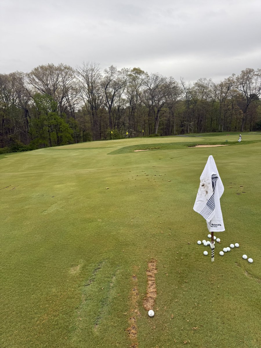 Sir Wetherby II tweet media