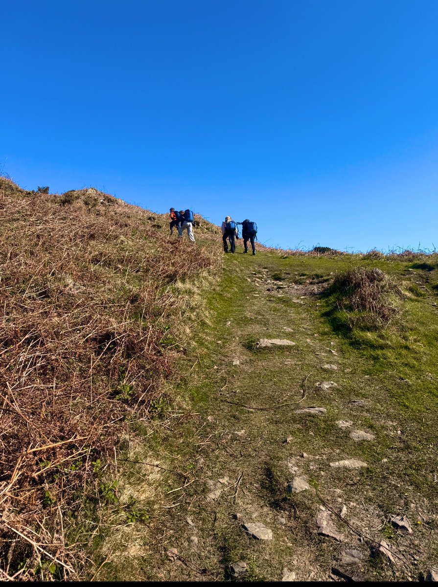 Sparky’s Mrs tweet media