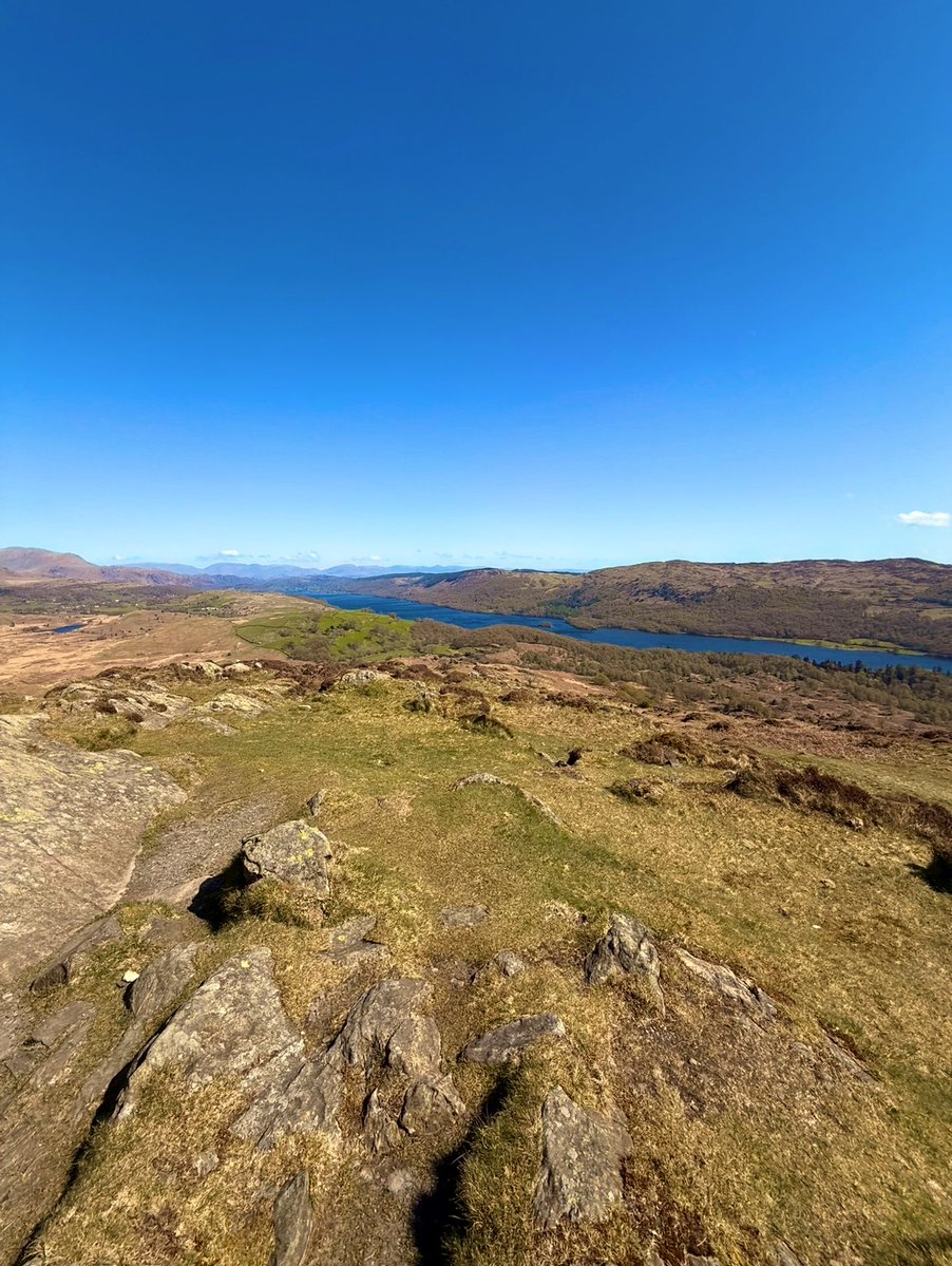 Sparky’s Mrs tweet media