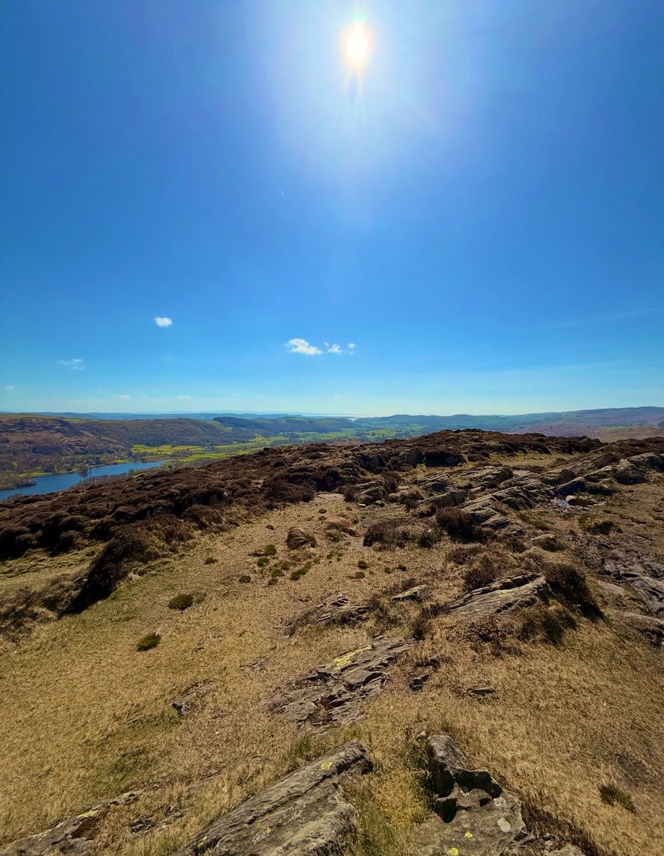 Sparky’s Mrs tweet media