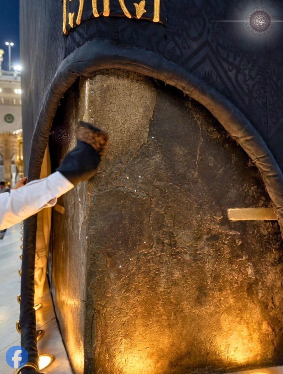 𝐌𝐨𝐭𝐢𝐯𝐚𝐭𝐞𝐝 𝐌𝐚𝐟𝐢𝐚 (@_motivatedmafia) on Twitter photo 