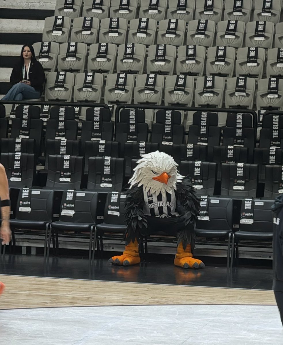 HaberKartali's tweet photo. 🦅 Beşiktaş'ın yeni maskotu. https://t.co/MuW6eYVAHu