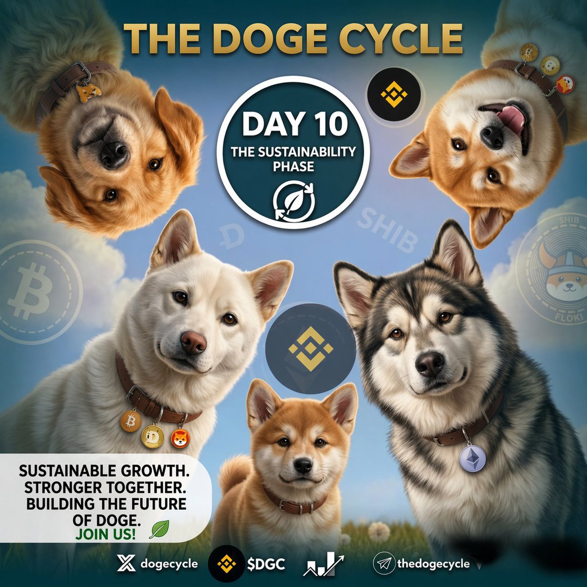 Dameron1ca's tweet image. Another day to hold strong 
#DGC