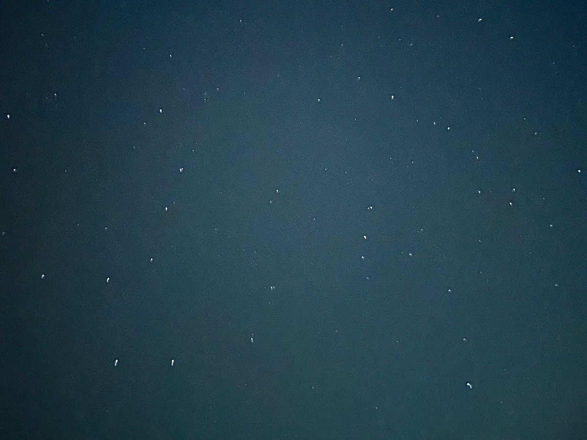 精神科医Dr.Snowman 〜Since 2010〜 tweet media