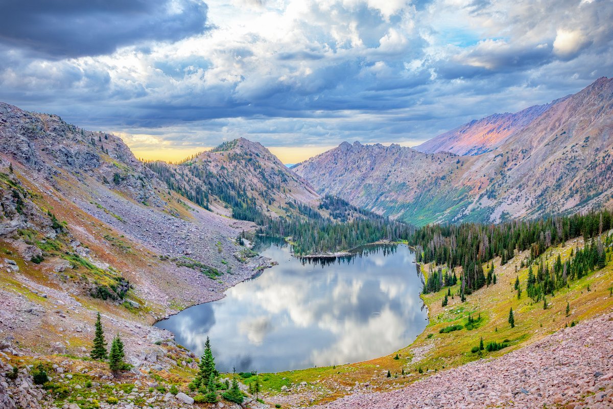 COParksWildlife tweet picture