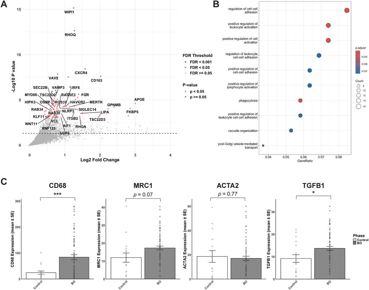 Transplantation and Cellular Therapy Journal tweet media