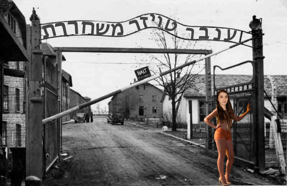 Nikolas🔥 tweet media